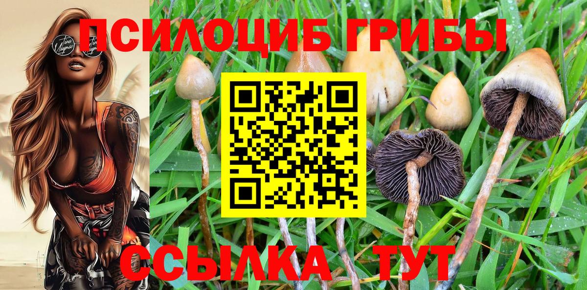 Псилоцибиновые грибы Magic Shrooms Серов