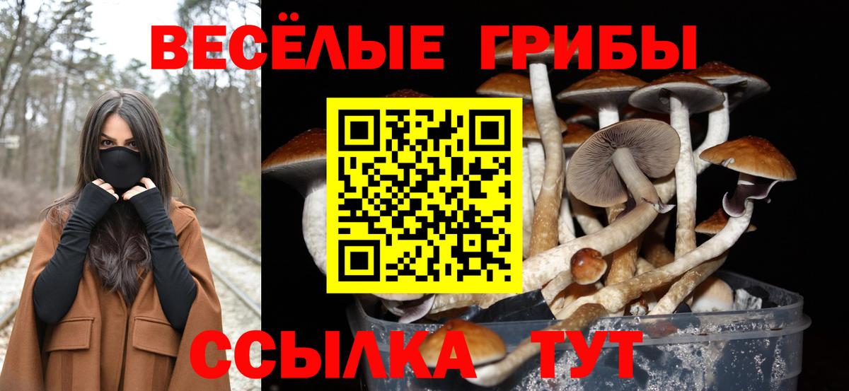Серов  Псилоцибиновые грибы Psilocybine cubensis  закладка  Вход с VPN 